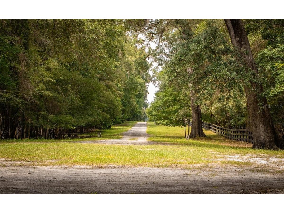 TBD SW Bluebird Court Fort White FL 32038 GC540833 image14