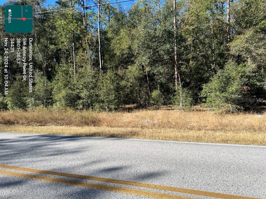 TBD SW Breezy Point Dr. Dunnellon FL 34431 OM690178 image1