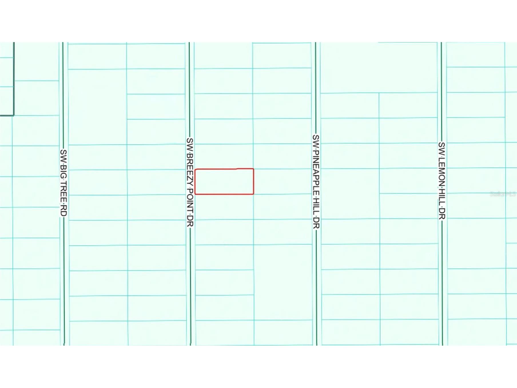 TBD SW Breezy Point Drive Dunnellon FL 34431 OM717184 image3