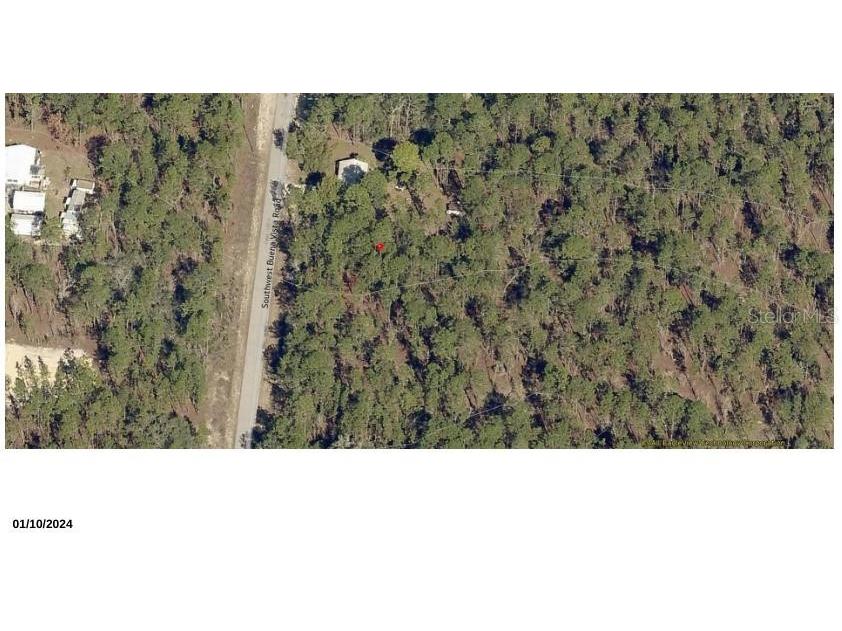 TBD SW Buena Vista Road Dunnellon FL 34431 OM713895 image1