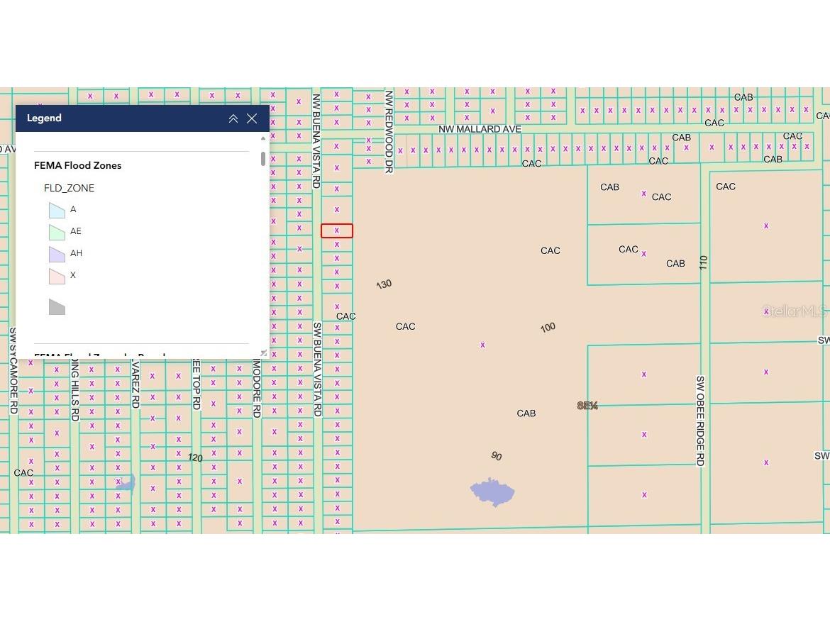 TBD SW Buena Vista Road Dunnellon FL 34431 OM713895 image2