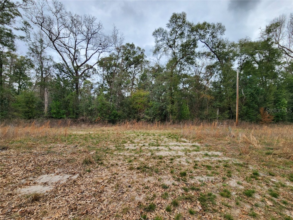TBD SW Central Terrace Fort White FL 32038 GC510695 image1