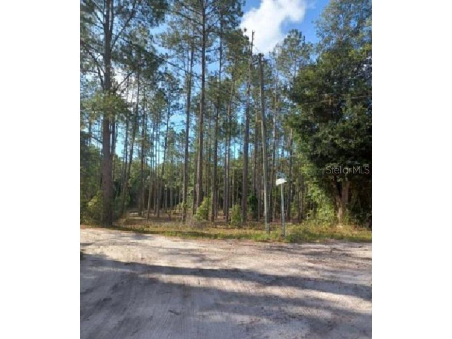 TBD SW Corner Sw95 Ave\sw 158 Ln Dunnellon FL 34432 OM659990 image1