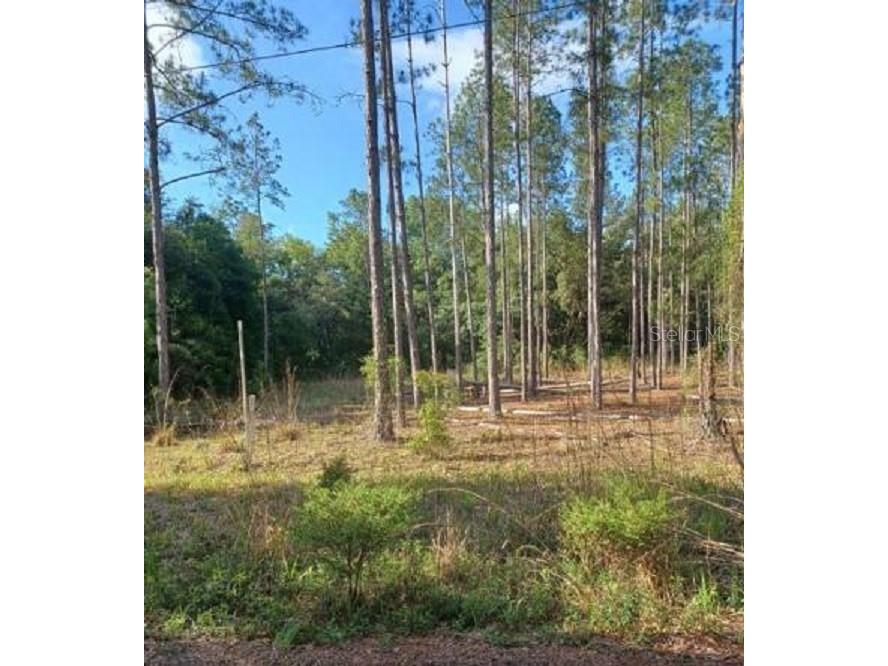 TBD SW Corner Sw95 Ave\sw 158 Ln Dunnellon FL 34432 OM659990 image3