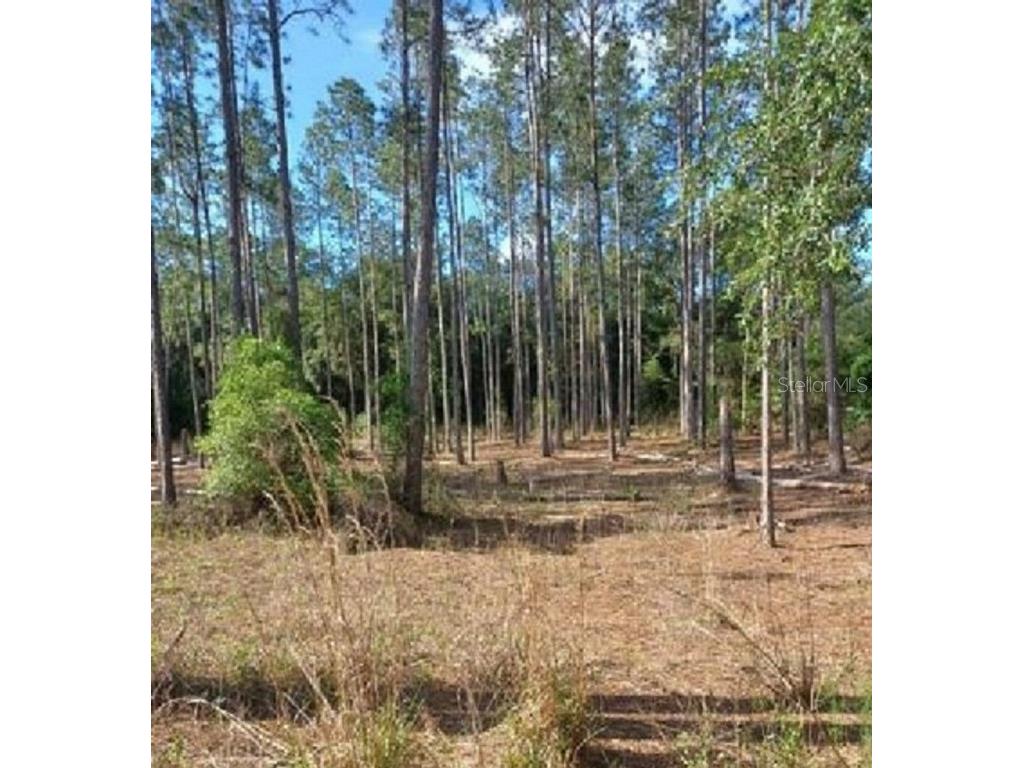 TBD SW Corner Sw95 Ave\sw 158 Ln Dunnellon FL 34432 OM659990 image4