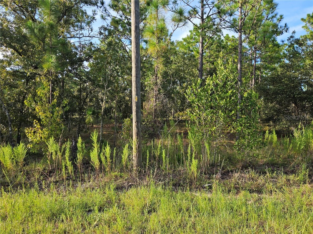 TBD Sw Cottonwood Lane Dunnellon FL 34431 O6140560 image1