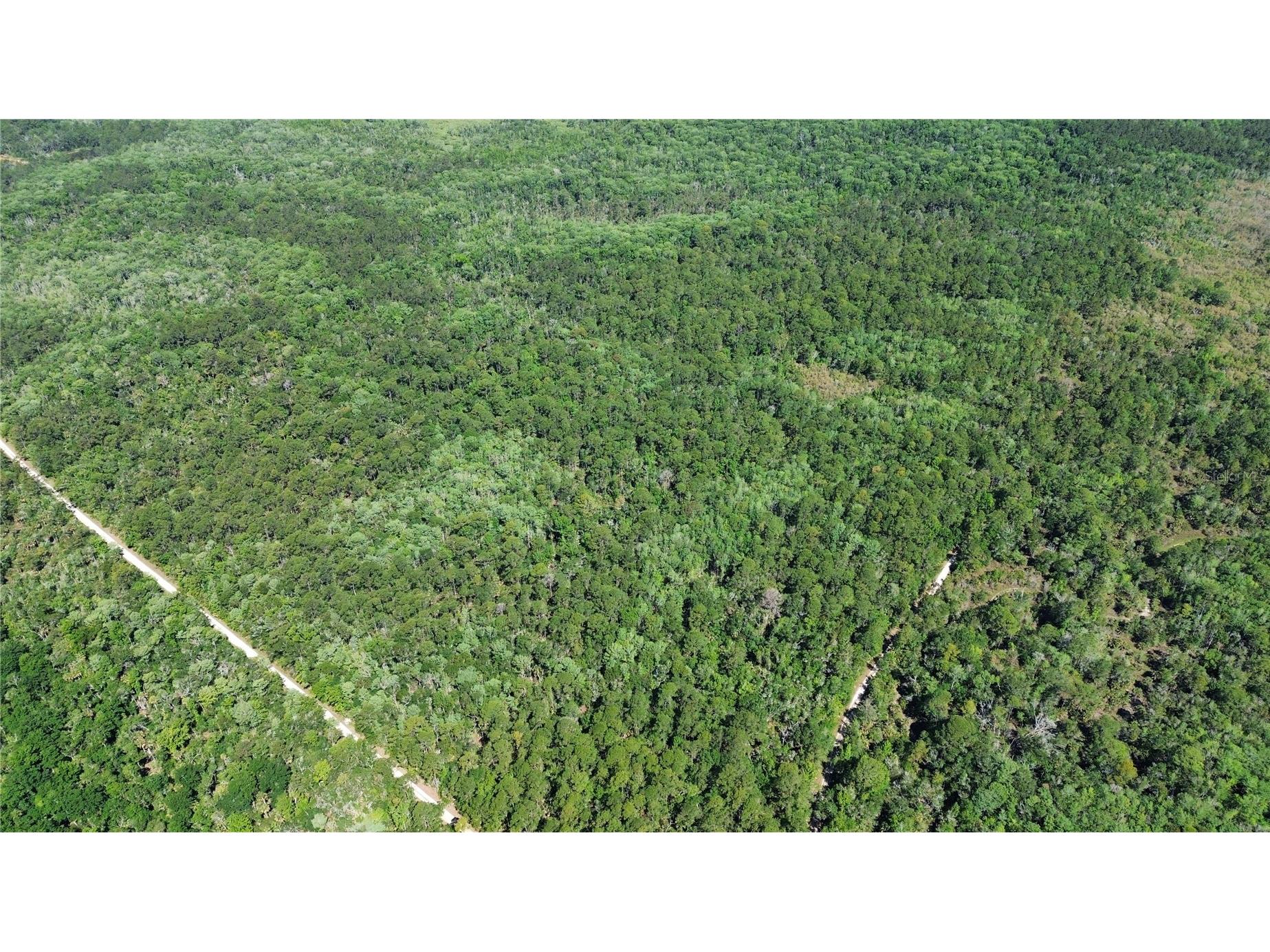 TBD SW Cr-347 Chiefland FL 32644 GC539827 image13