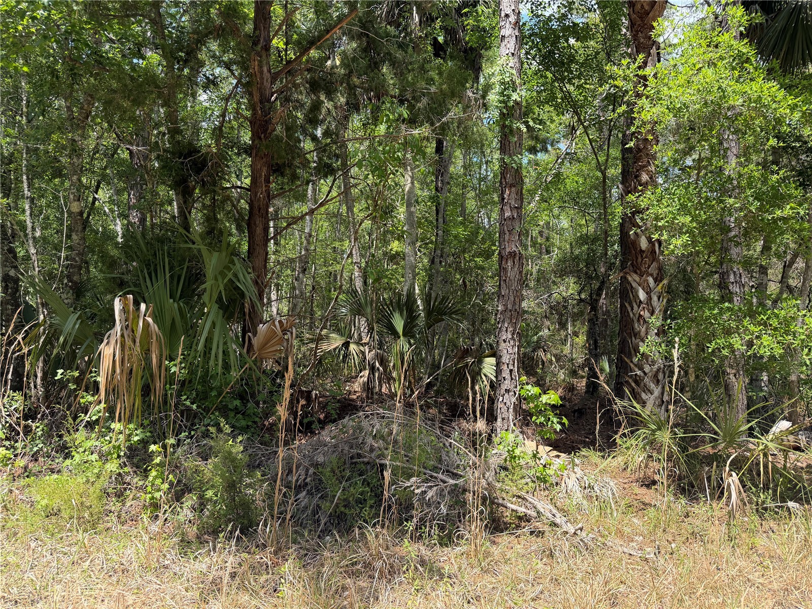 TBD SW Cr-347 Chiefland FL 32644 GC539827 image17