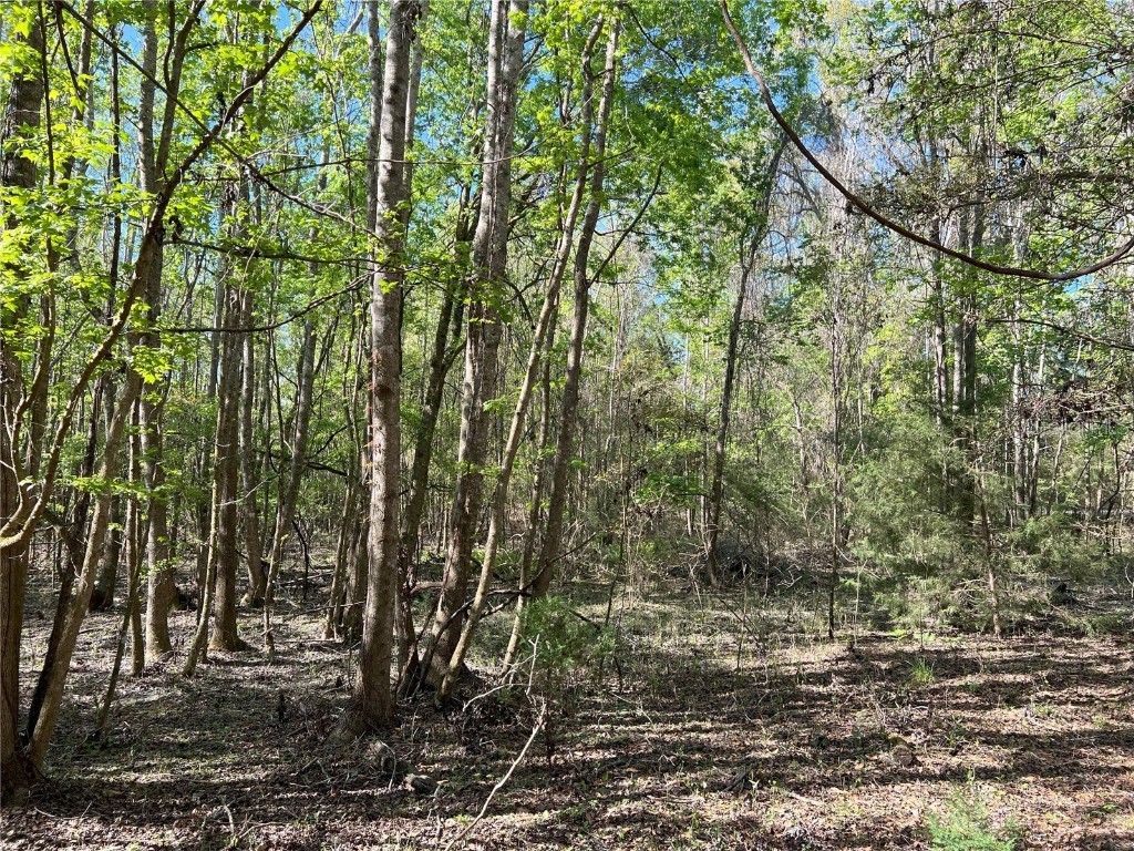 TBD SW Drew Feagle Road Fort White FL 32038 GC525961 image1
