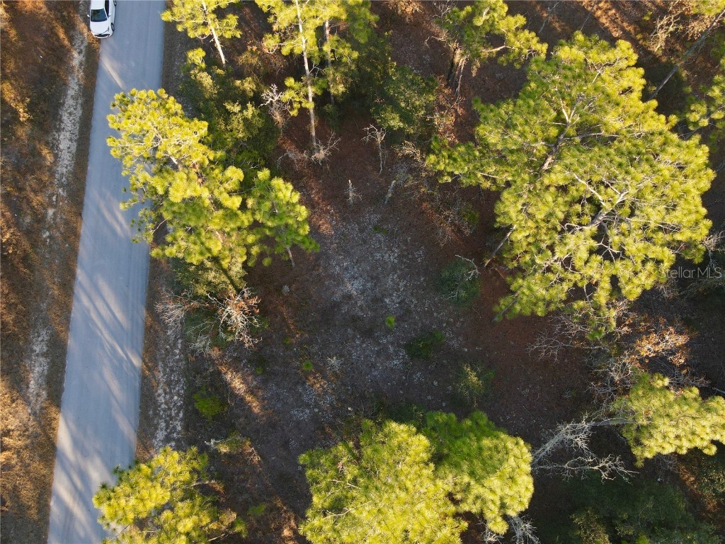 TBD SW Edgewater Boulevard Dunnellon FL 34431 OM700403 image1