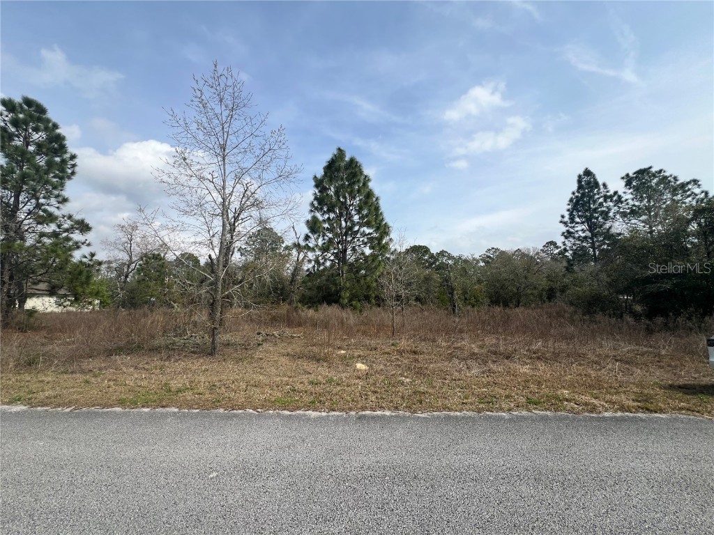 TBD SW Evergreen Court Dunnellon FL 34431 OM675800 image1