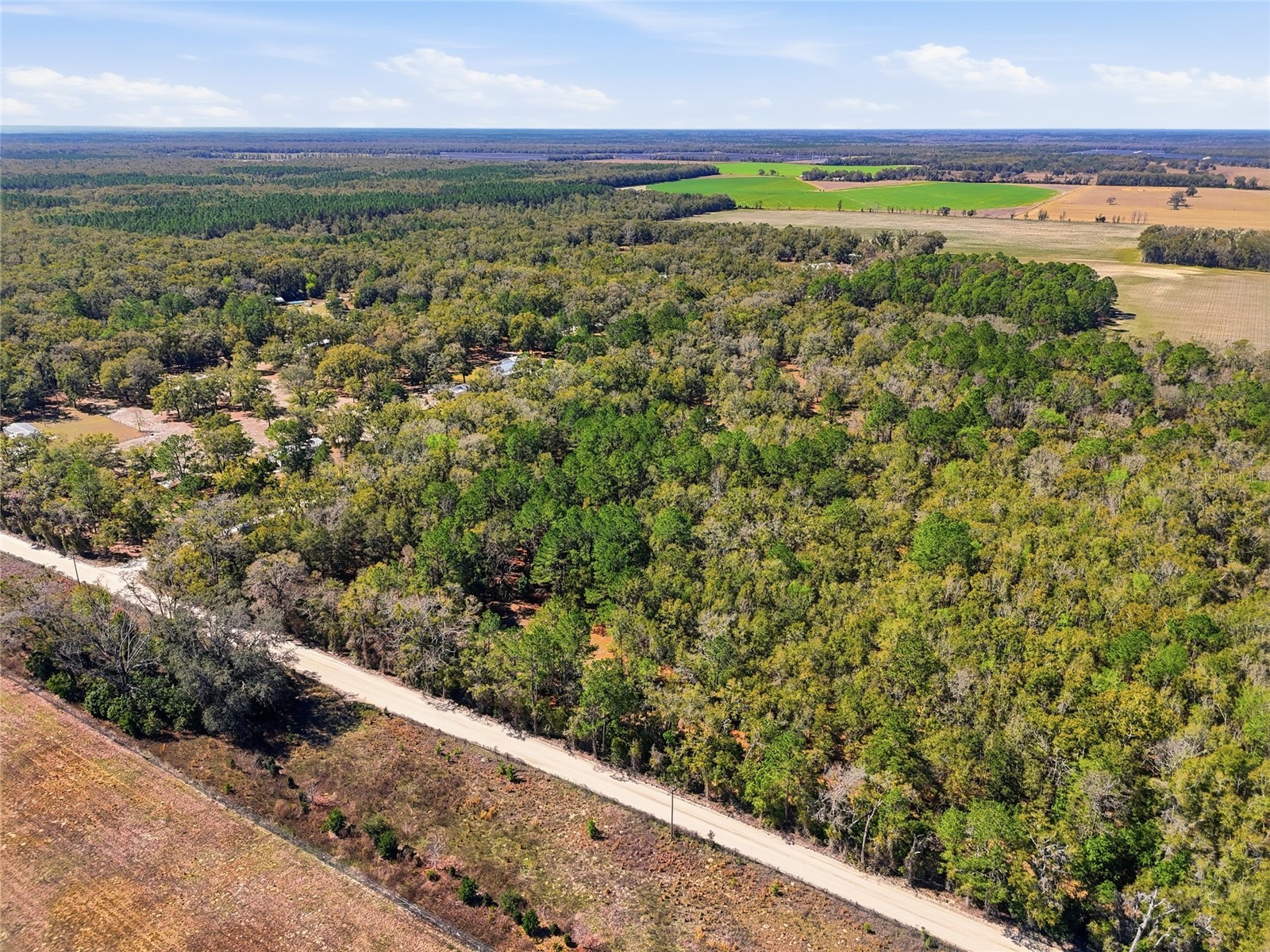 TBD SW Fry Avenue #B Fort White FL 32038 GC538257 image5