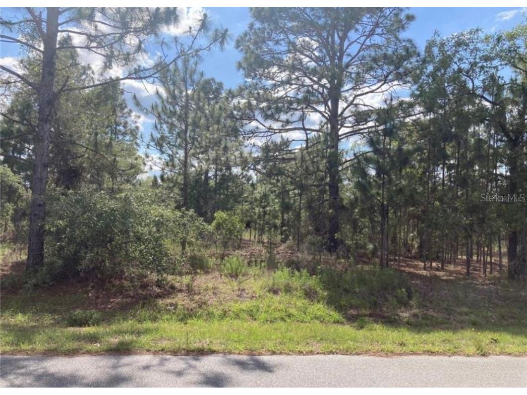 TBD SW Gardenia Court Dunnellon FL 34431 OM660907 image1