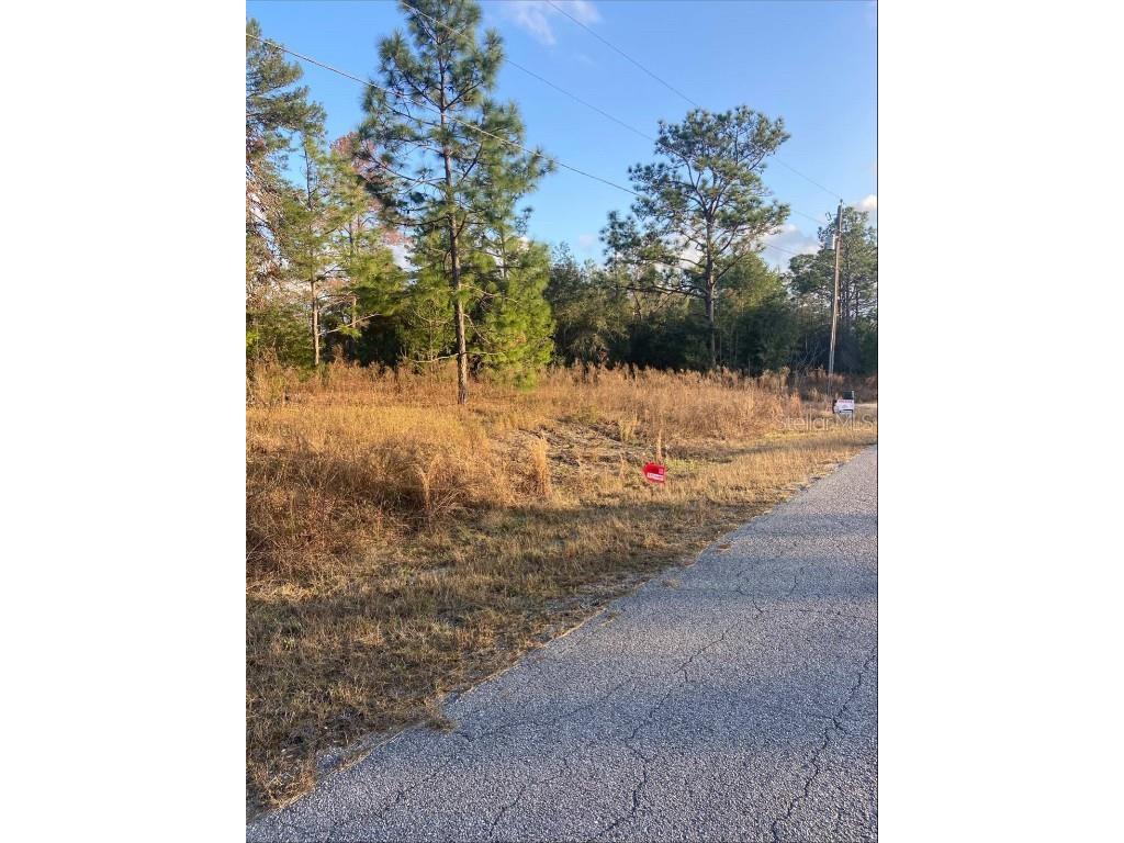 TBD SW Gardenia Court Dunnellon FL 34431 OM692042 image1