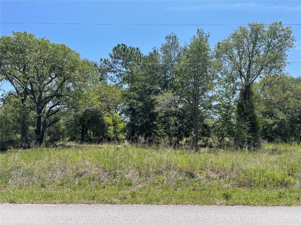 TBD SW Half Moon Drive Dunnellon FL 34431 OM660205 image1