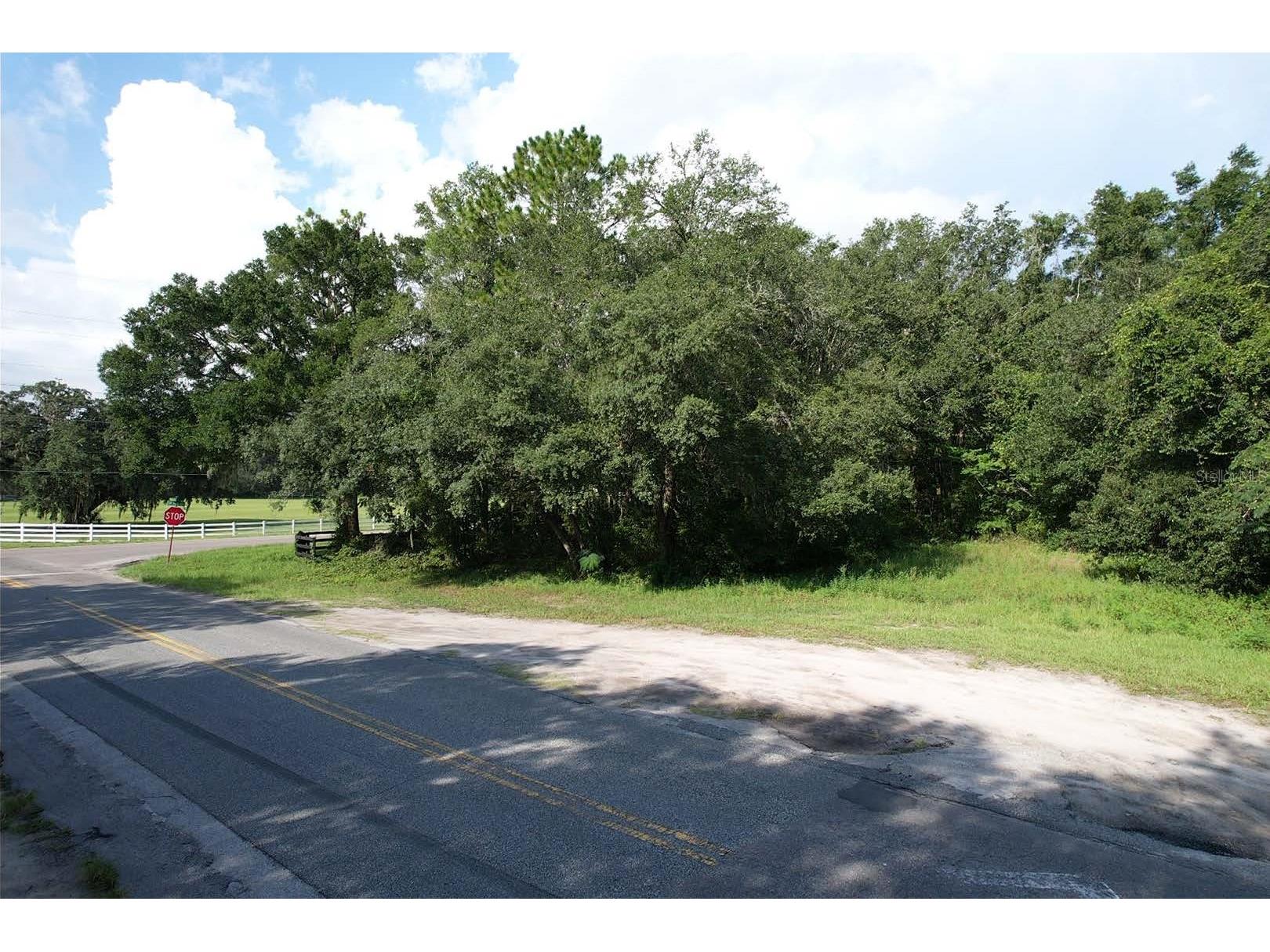 TBD SW Highway 484 Dunnellon FL 34432 OM719210 image2