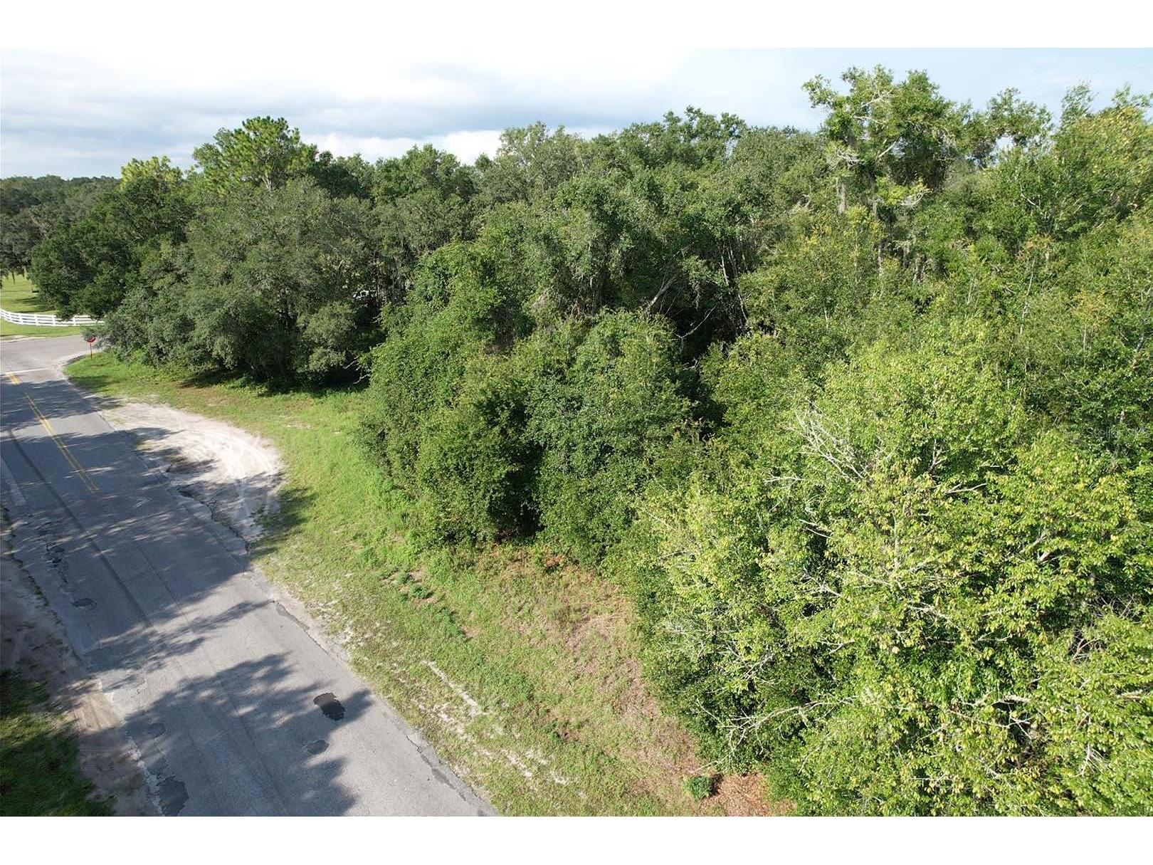 TBD SW Highway 484 Dunnellon FL 34432 OM719210 image3
