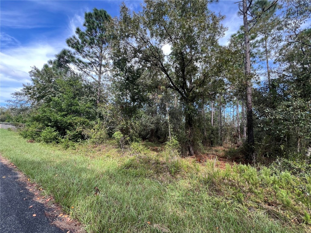 TBD SW Huckleberry Lane Dunnellon FL 34431 OM687354 image1