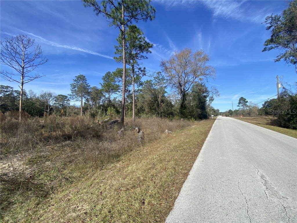 TBD SW Hyacinth Court Dunnellon FL 34431 OM691643 image1