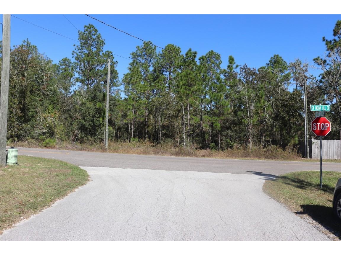 TBD SW Indian Hill Drive Dunnellon FL 34431 A4671016 image1