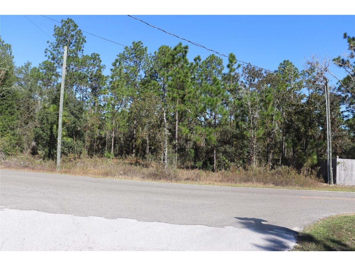 TBD SW Indian Hill Drive Dunnellon FL 34431 A4671016 image11