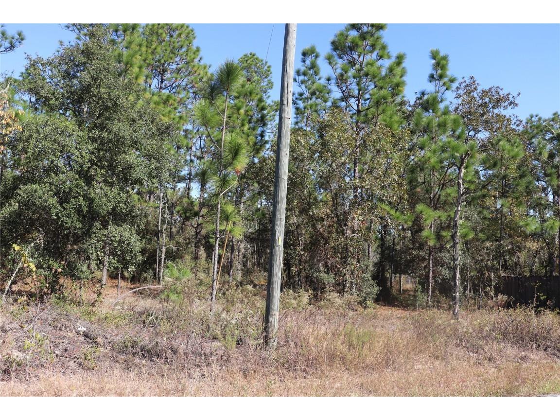TBD SW Indian Hill Drive Dunnellon FL 34431 A4671016 image13