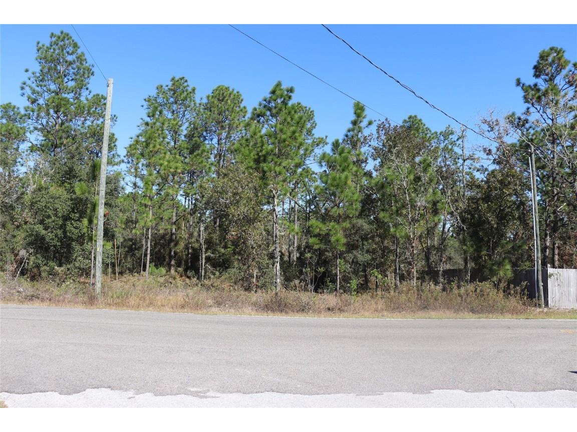 TBD SW Indian Hill Drive Dunnellon FL 34431 A4671016 image2