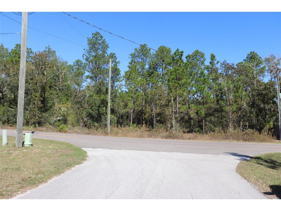 TBD SW Indian Hill Drive Dunnellon FL 34431 A4671016 image3