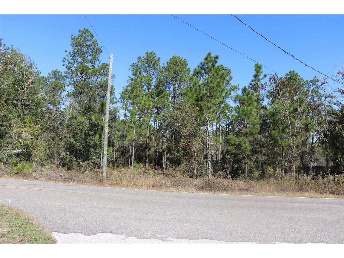 TBD SW Indian Hill Drive Dunnellon FL 34431 A4671016 image4