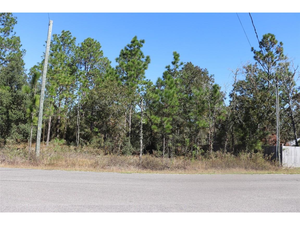 TBD SW Indian Hill Drive Dunnellon FL 34431 A4671016 image5