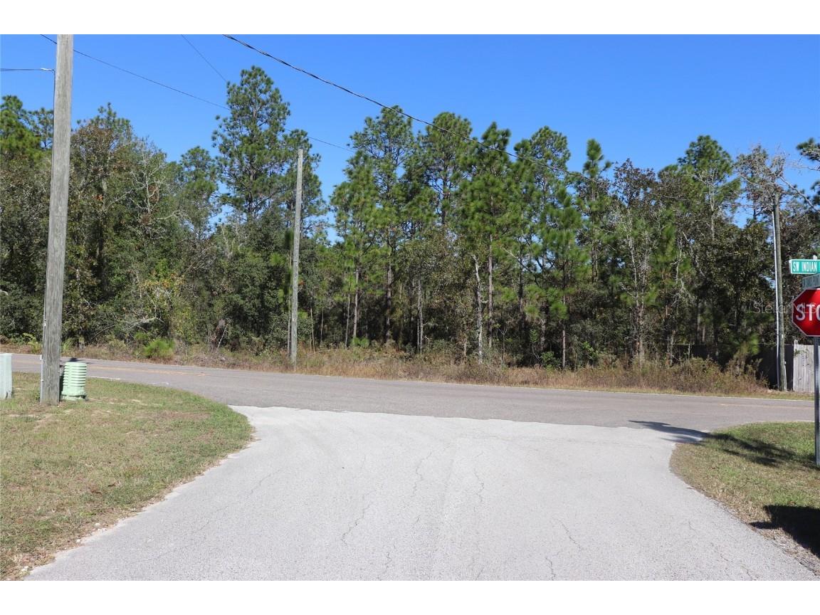 TBD SW Indian Hill Drive Dunnellon FL 34431 A4671016 image6