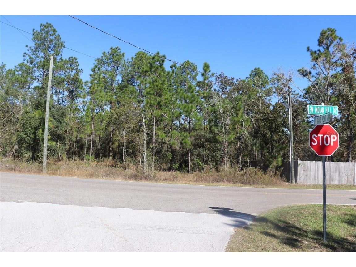 TBD SW Indian Hill Drive Dunnellon FL 34431 A4671016 image7