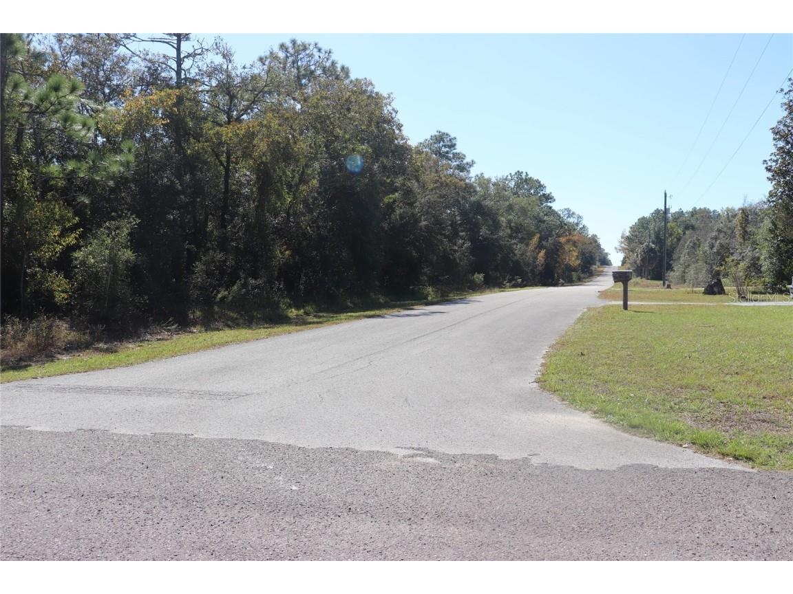 TBD SW Indian Hill Drive Dunnellon FL 34431 A4671016 image8