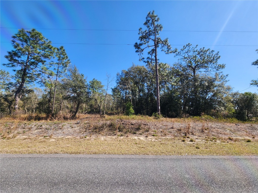 TBD SW Ivy Place Dunnellon FL 34431 OM673313 image1