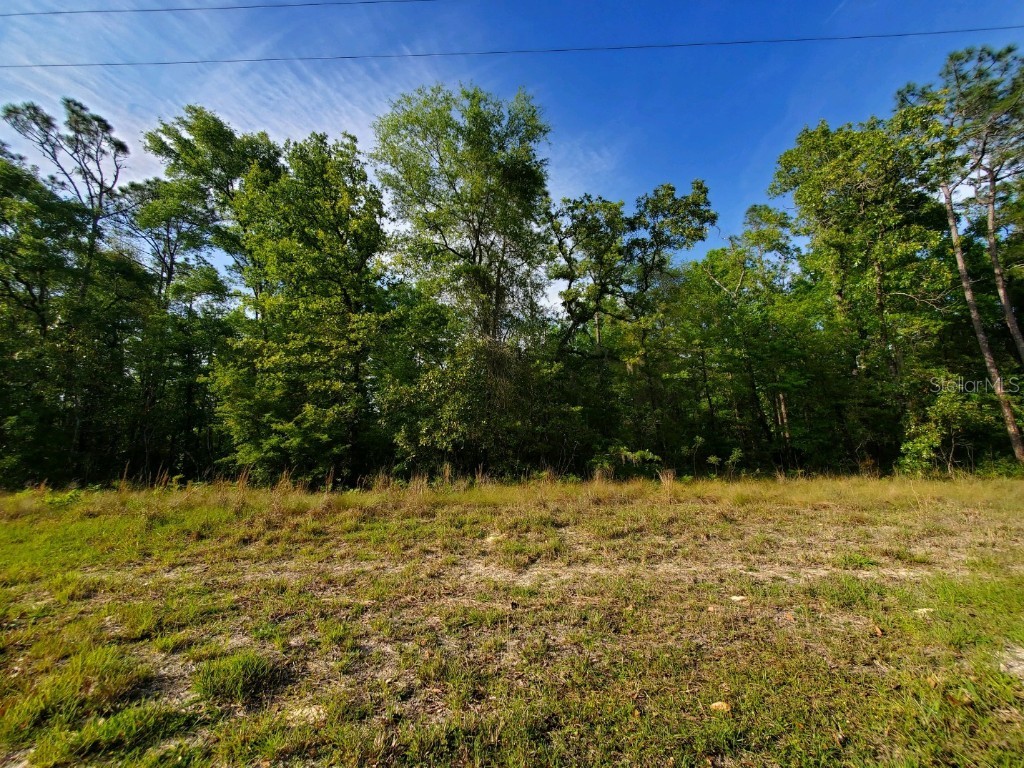 TBD SW Kentucky Street Fort White FL 32038 GC513873 image1