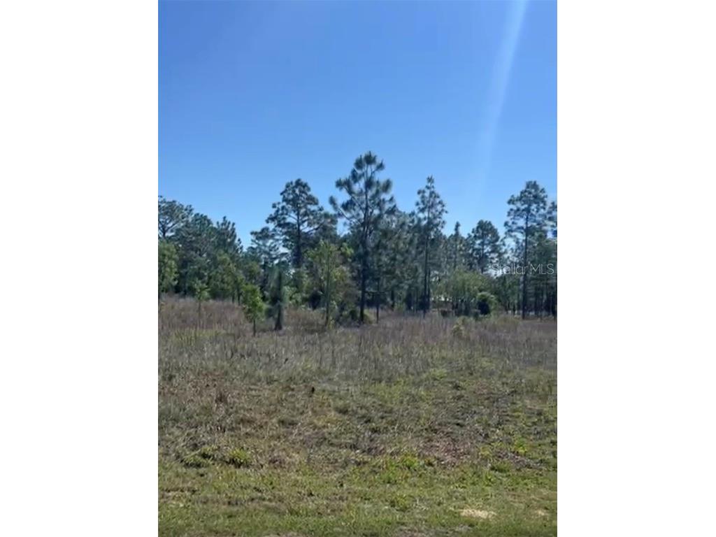 TBD SW Kerria Court Dunnellon FL 34431 OM697432 image1