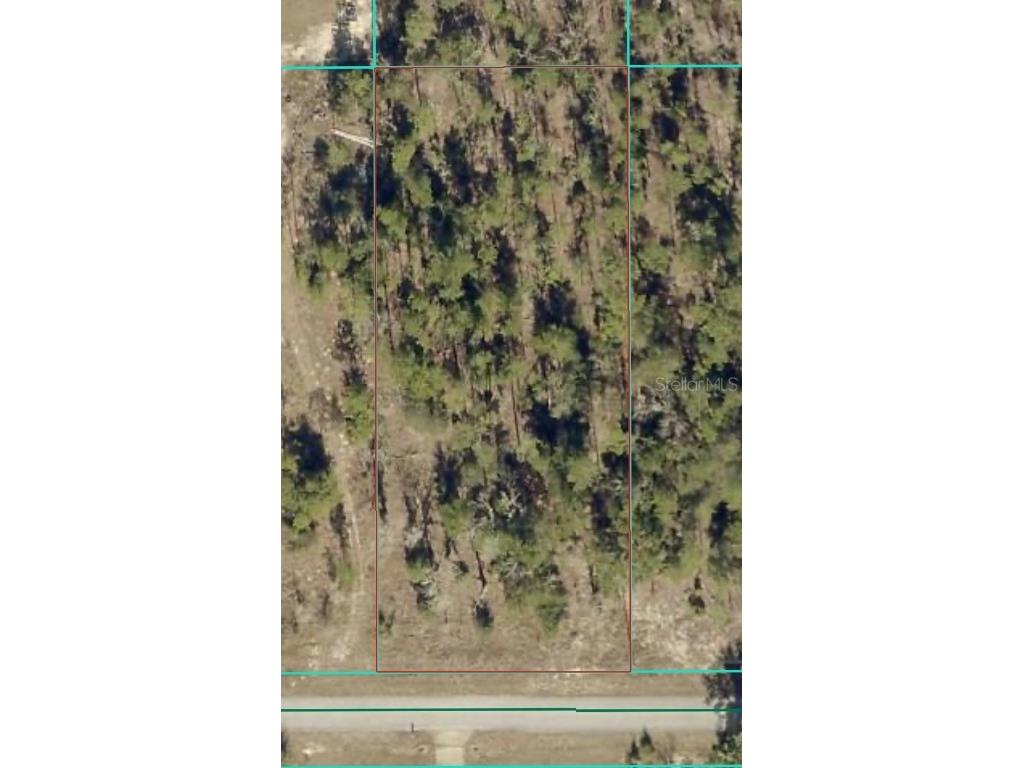 TBD SW Lakeland Heights Avenue Dunnellon FL 34432 OM710255 image1