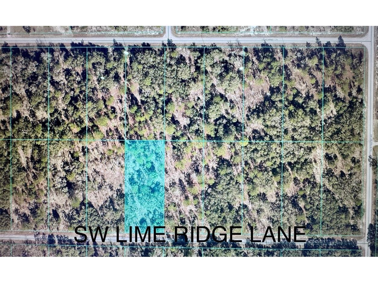 TBD SW Limeridge Lane Dunnellon FL 34431 OM707409 image1