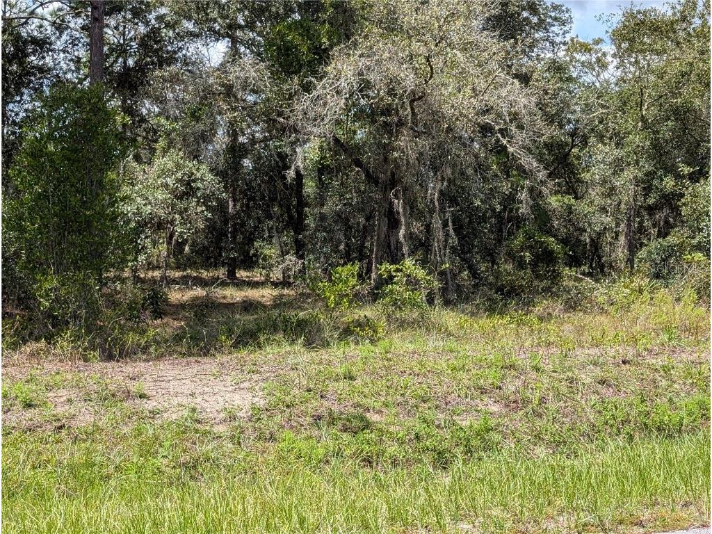 TBD SW Lobelia Court Dunnellon FL 34431 OM685283 image1