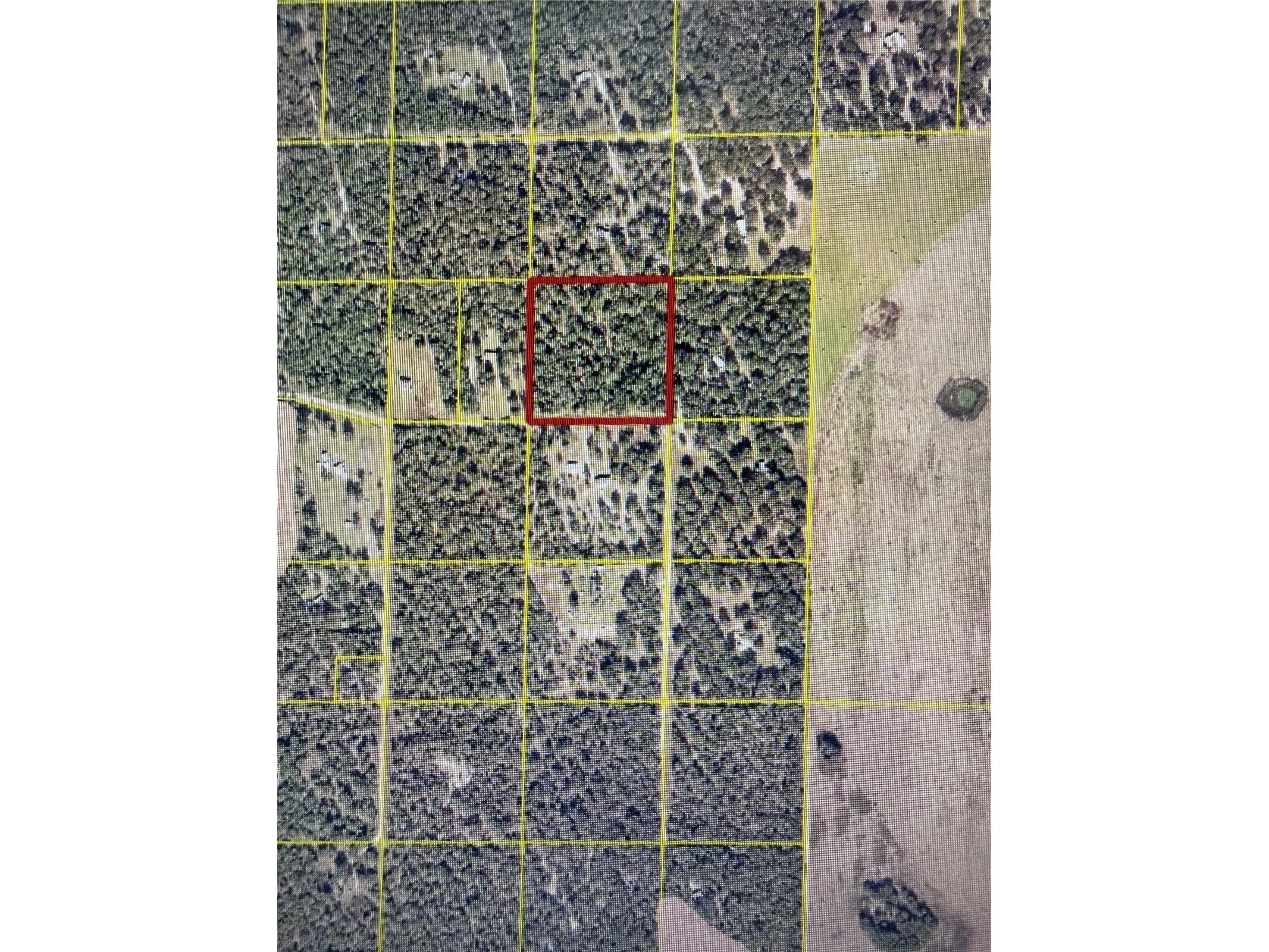 TBD SW Maplewood Place #LOT 5 Fort White FL 32038 TB8469171 image14