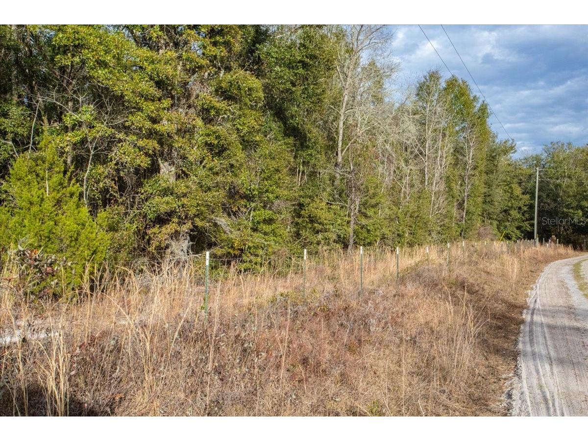 TBD SW Maplewood Place #LOT 5 Fort White FL 32038 TB8469171 image4