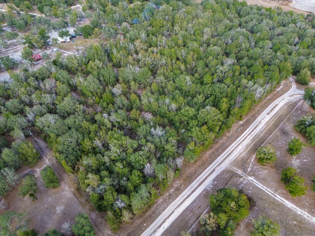 TBD SW Maplewood Place #LOT 5 Fort White FL 32038 TB8469171 image7