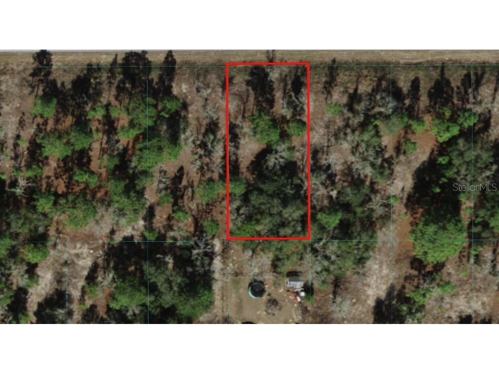 TBD SW Marine Boulevard Dunnellon FL 34431 OM671126 image1