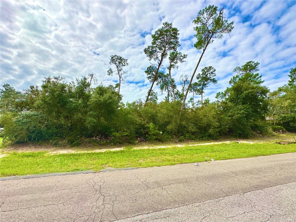TBD SW Marion Oaks Lane Ocala FL 34473 O6292227 image1