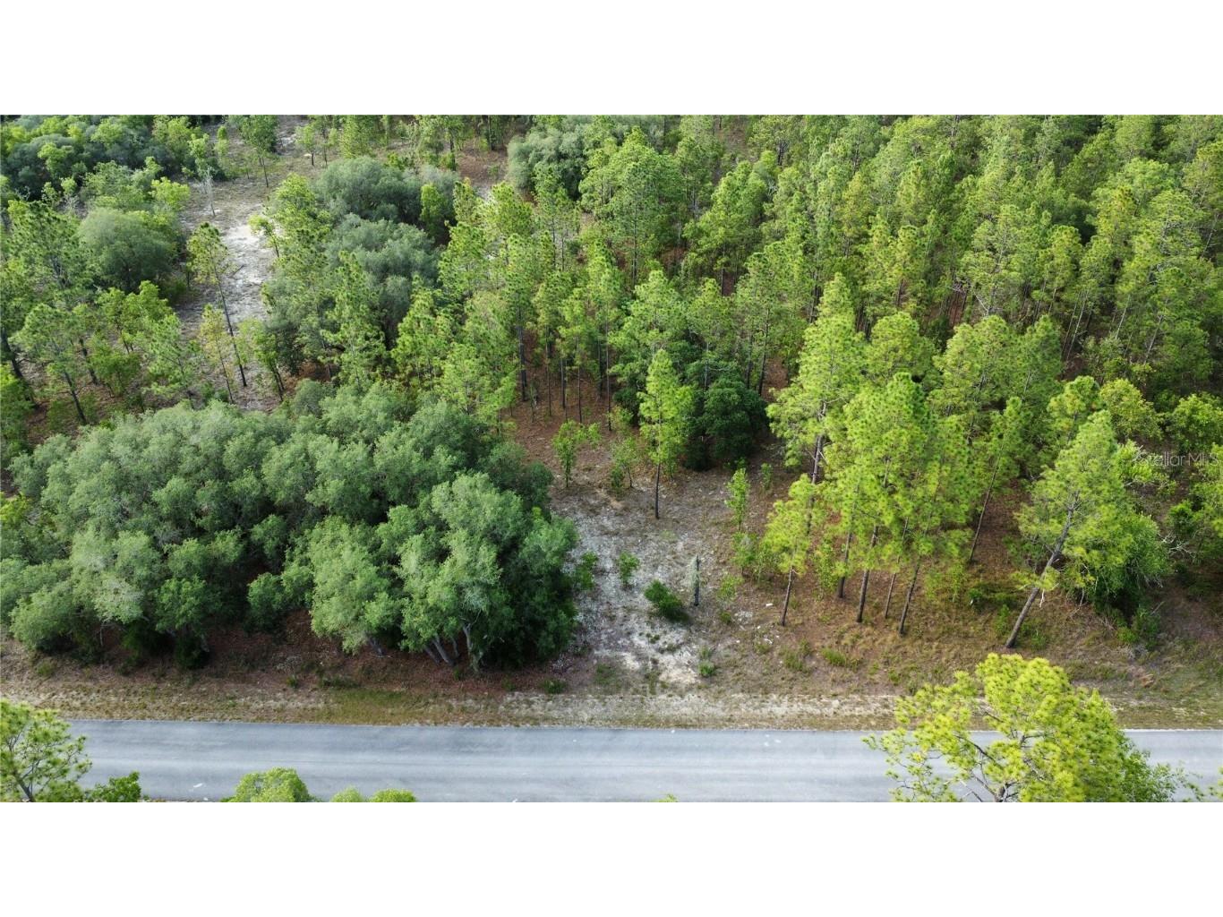 TBD SW Mineola Lane Dunnellon FL 34431 OM678644 image1