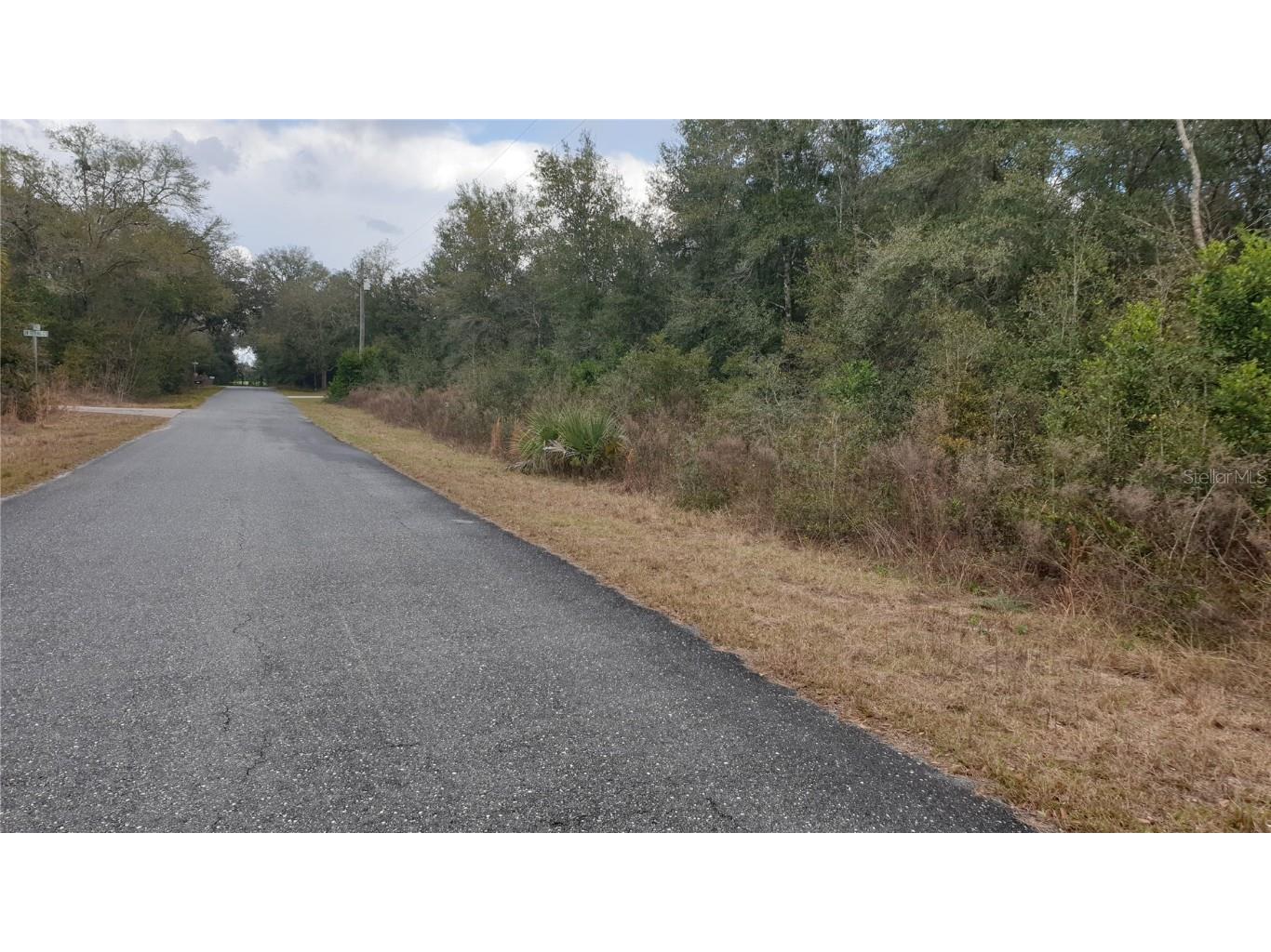 TBD SW Monaco Court Dunnellon FL 34431 A4598675 image1
