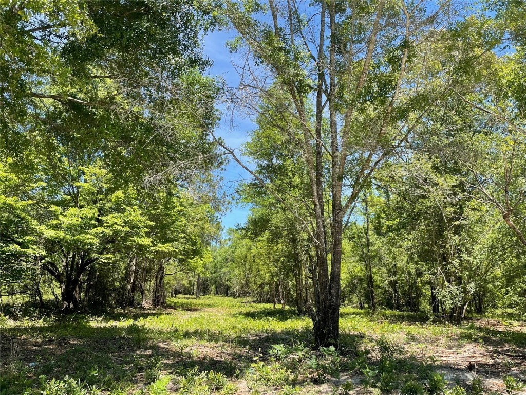 TBD SW Pathfinder Glen Fort White FL 32038 GC512993 image1