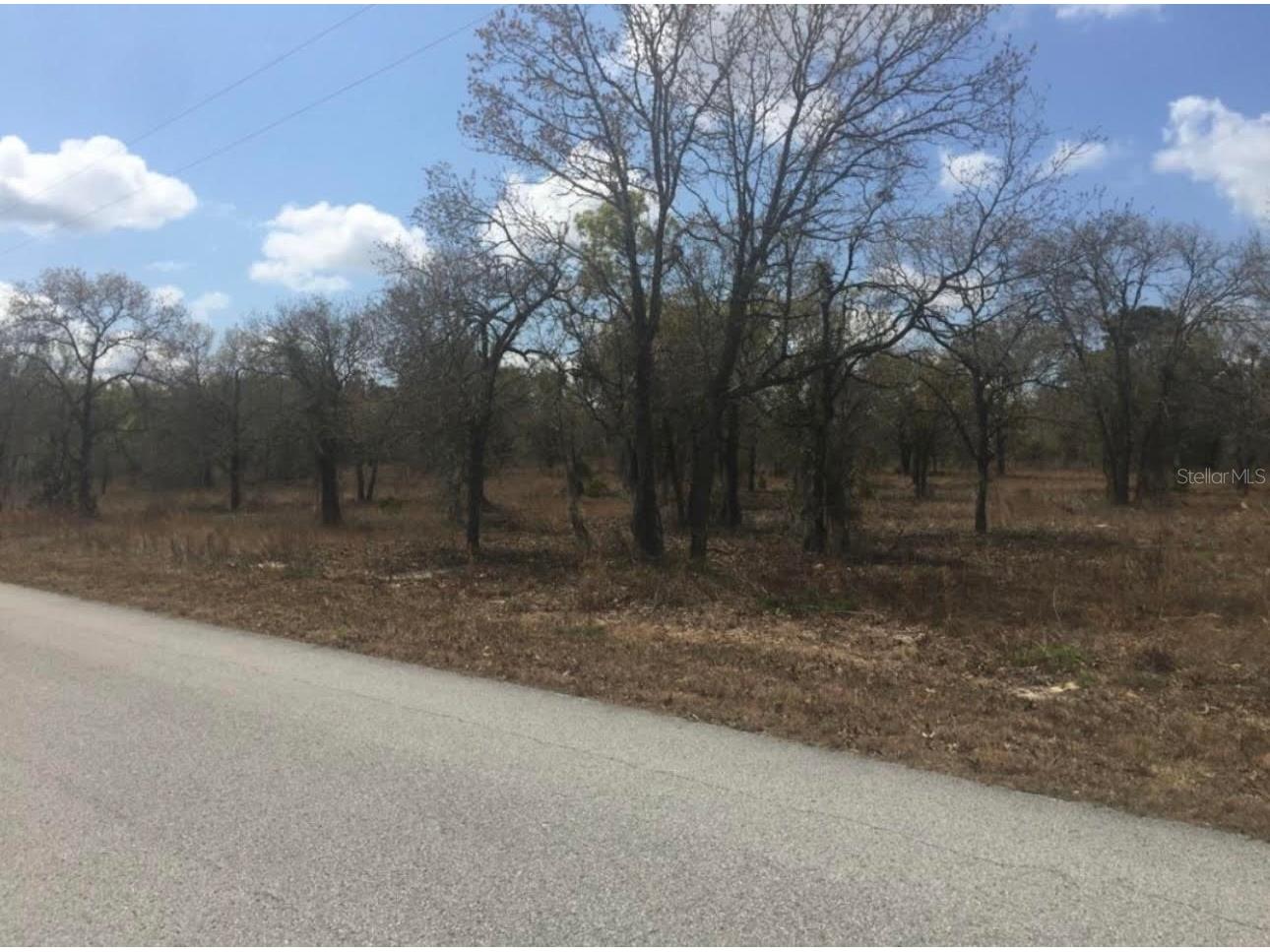 TBD Sw Portulaca Ct Dunnellon FL 34431 OM708761 image2