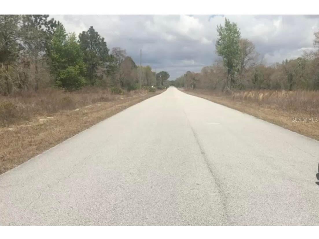 TBD Sw Portulaca Ct Dunnellon FL 34431 OM708761 image3