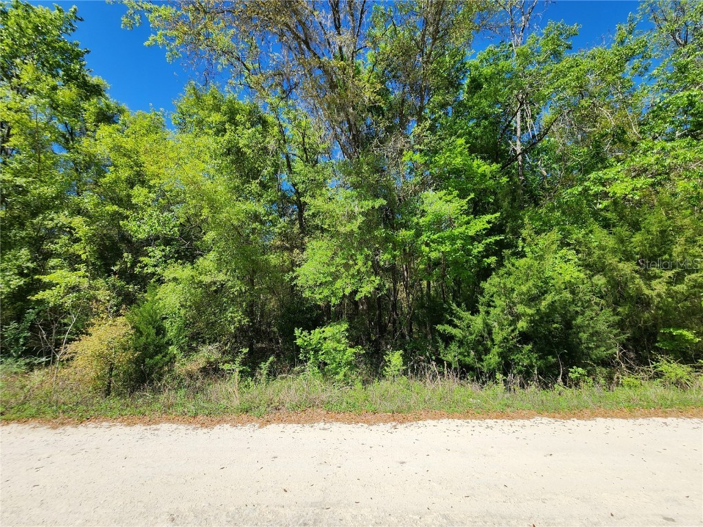 TBD SW Quarry Circle Fort White FL 32038 GC520268 image1